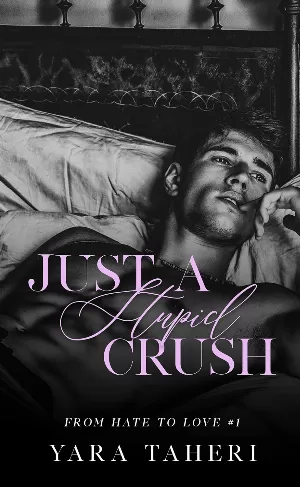 From Hate to Love, Tome 1 : Just a Stupid Crush